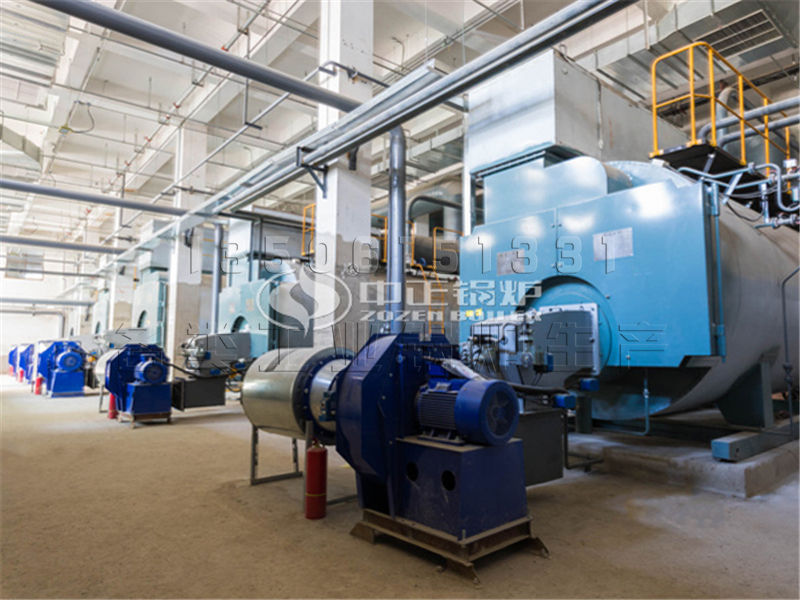 60吨生物质循环流化床锅炉厂家